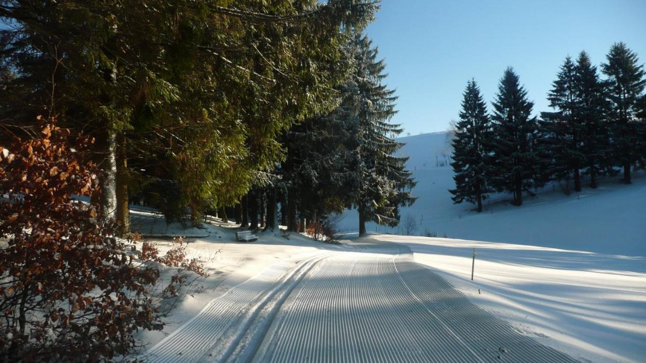 Hotel Am Trankbachtal Frauenwald Buitenkant foto