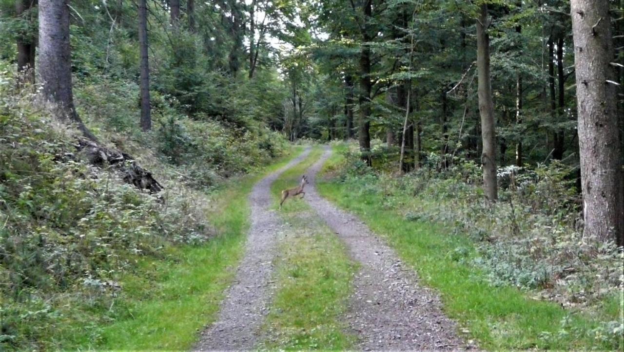 Hotel Am Trankbachtal Frauenwald Buitenkant foto