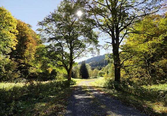 Hotel Am Trankbachtal Frauenwald Buitenkant foto